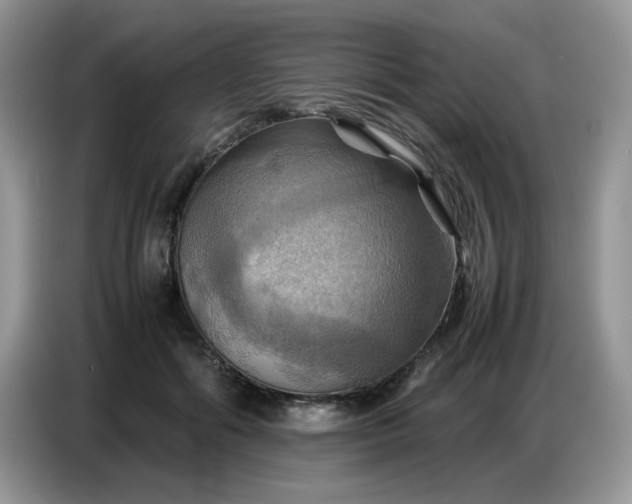 X0000086770602200704271751