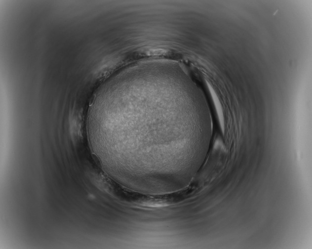 X0000086770604200704271751
