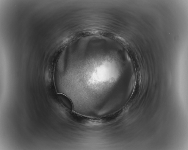 X0000086770606200704271751