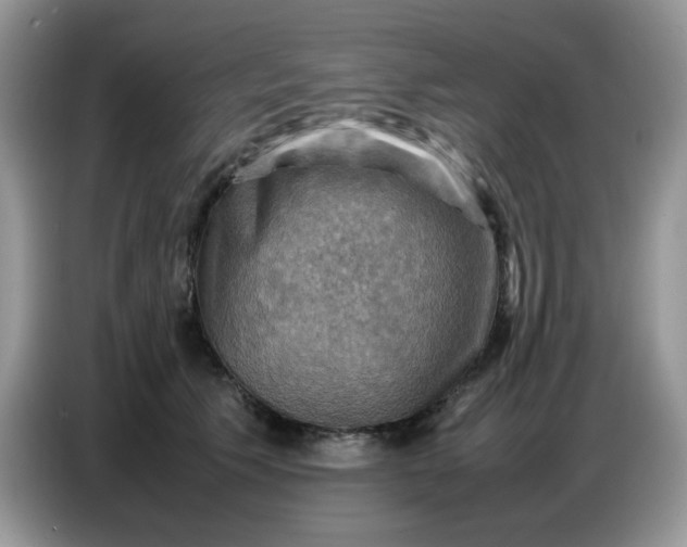 X0000086770609200704271751