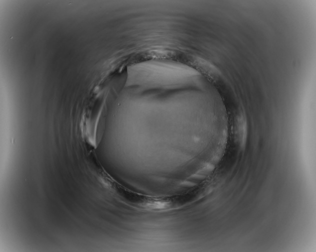 X0000086770610200704271751