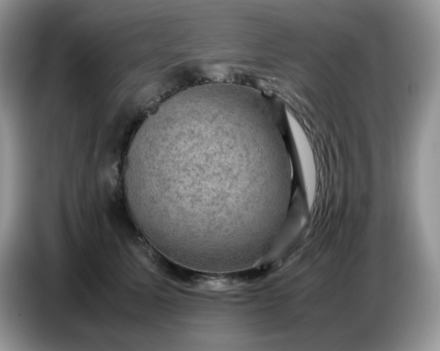 X0000086770611200704271751