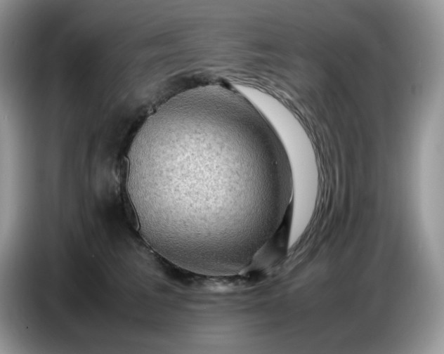 X0000086770613200704271751