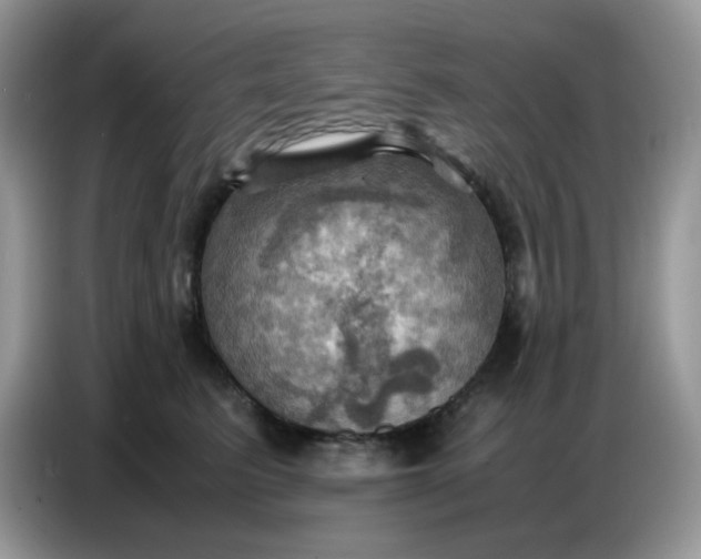 X0000086770615200704271751