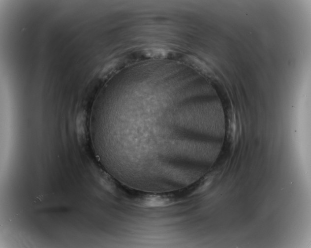 X0000086770616200704271751
