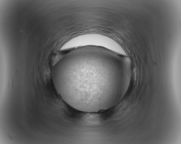 X0000086770617200704271751