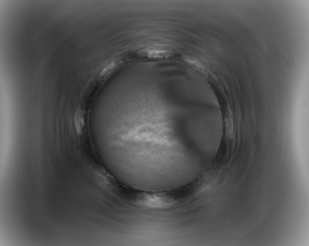 X0000086770618200704271751
