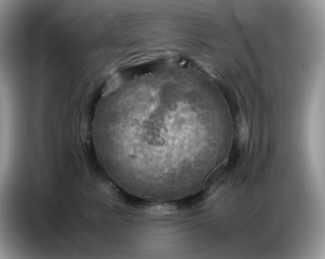 X0000086770619200704271751