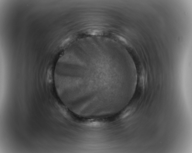 X0000086770620200704271751