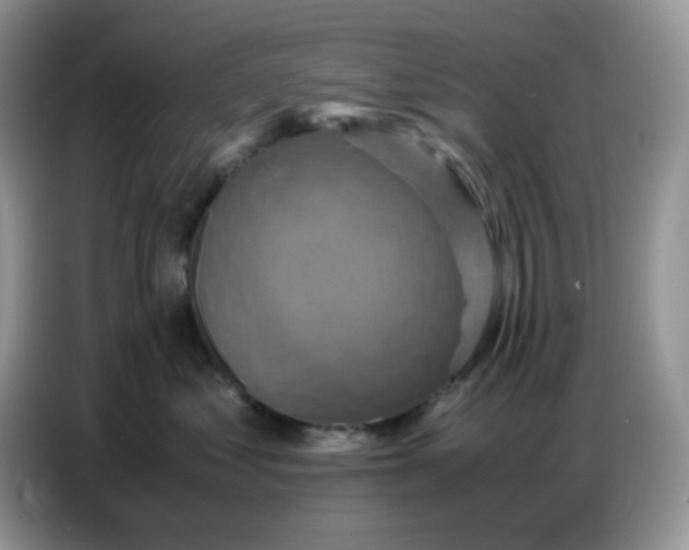 X0000086770621200704271751