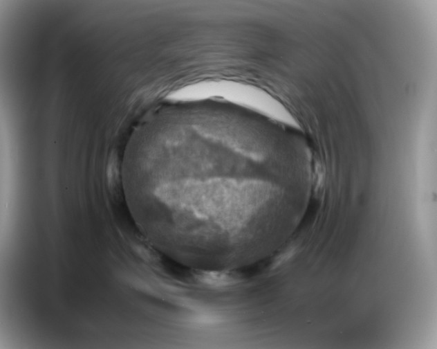 X0000086770623200704271751