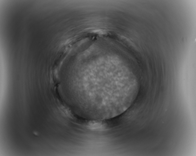 X0000086770624200704271751