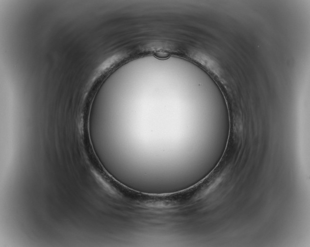 X0000086770629200704271751