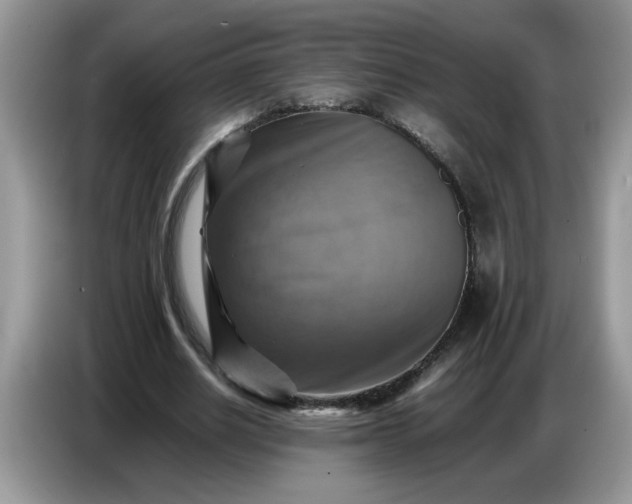 X0000086770630200704271751