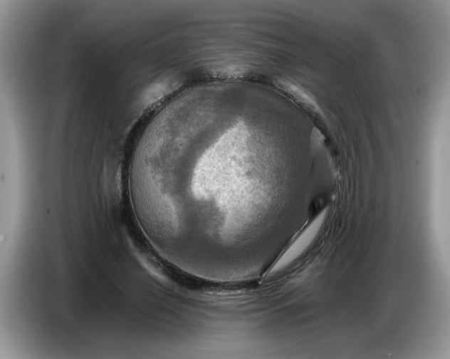 X0000086770638200704271751