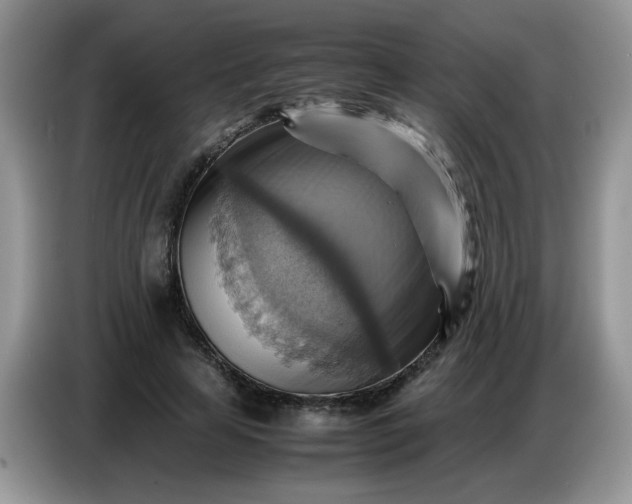 X0000086770641200704271751