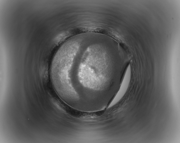 X0000086770642200704271751