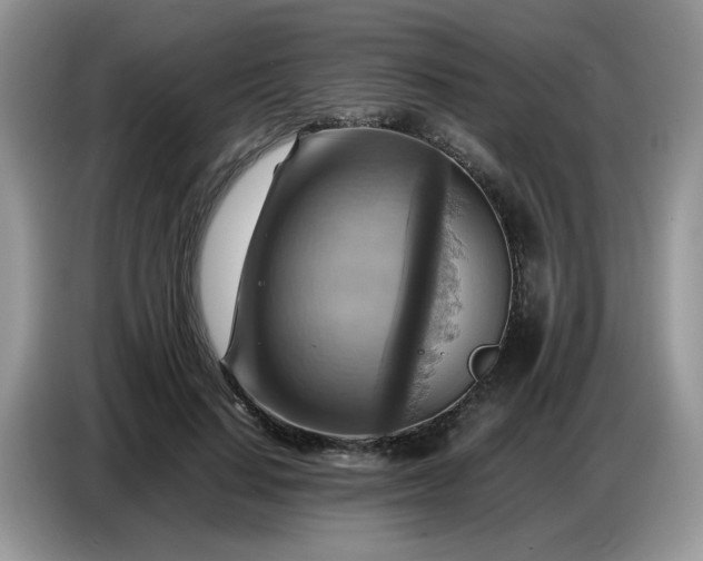 X0000086770644200704271751
