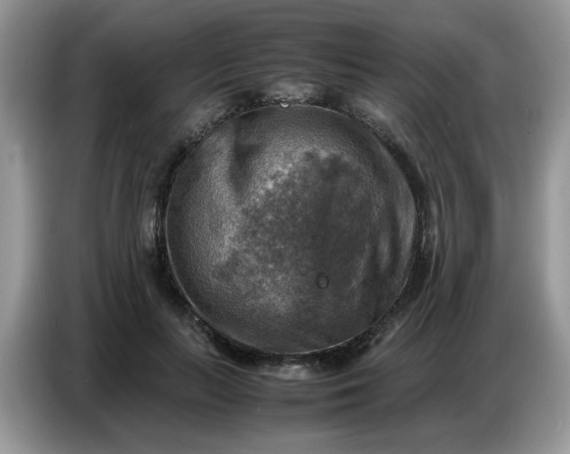X0000086770647200704271751
