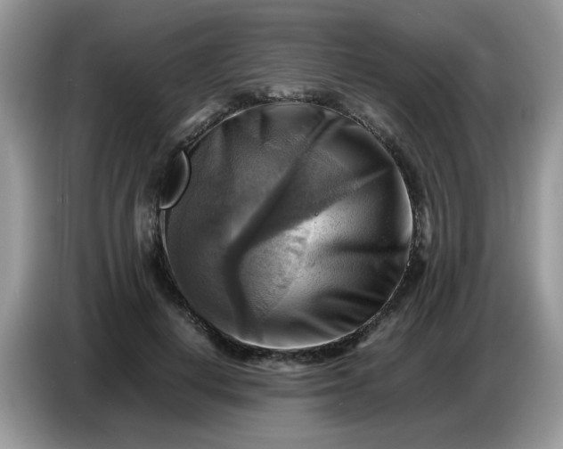 X0000086770648200704271751