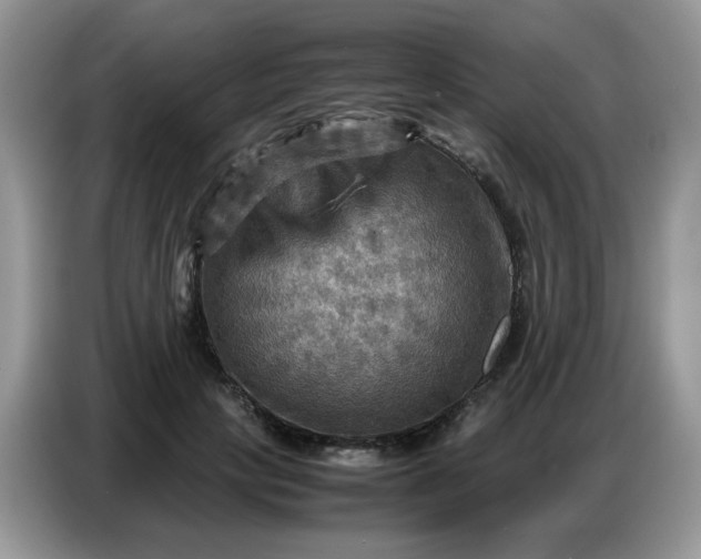 X0000086770649200704271751