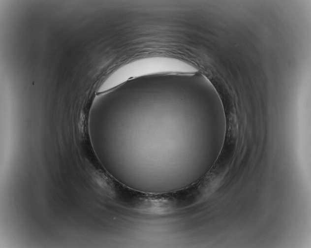 X0000086770650200704271751