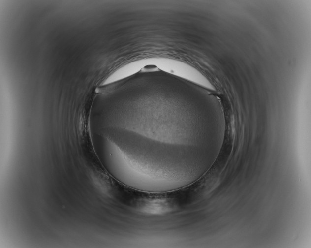 X0000086770651200704271751