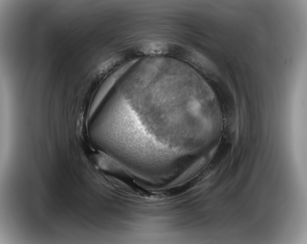 X0000086770652200704271751