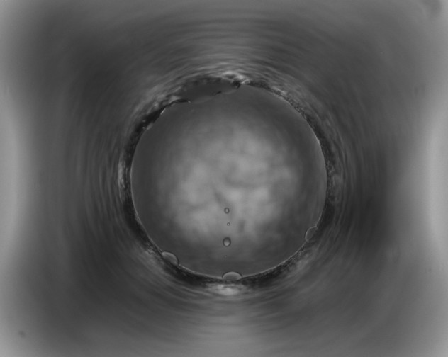 X0000086770654200704271751