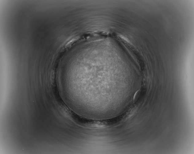X0000086770656200704271751