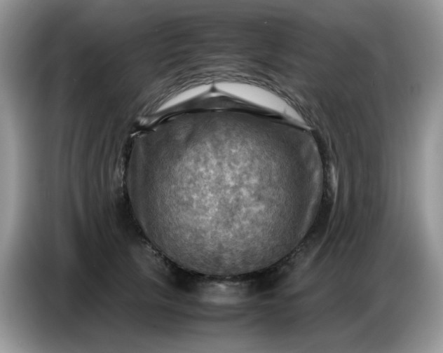 X0000086770657200704271751