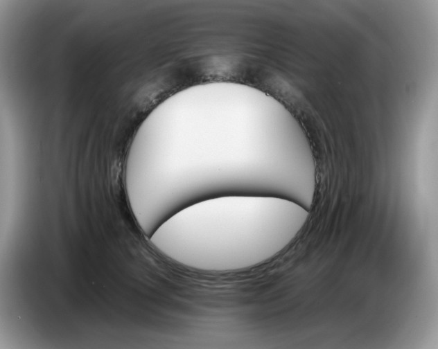 X0000086770660200704271751