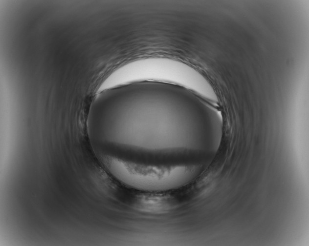 X0000086770661200704271751