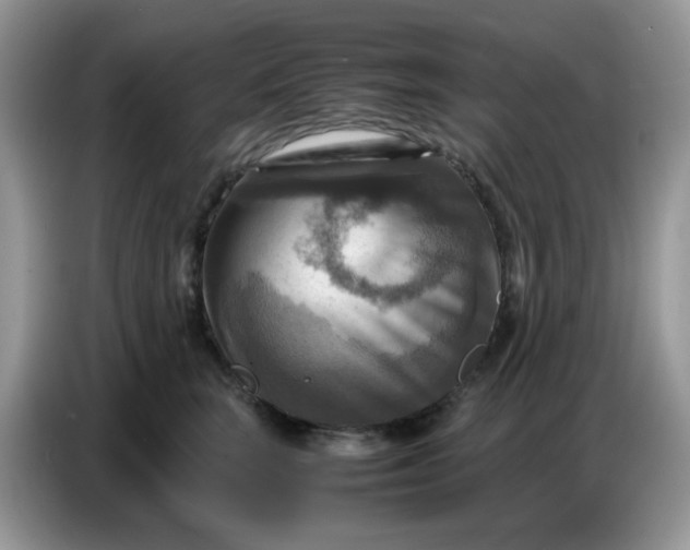 X0000086770663200704271751