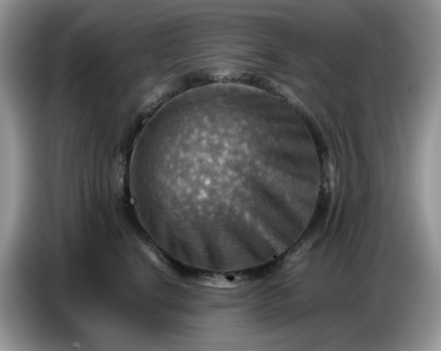 X0000086770664200704271751