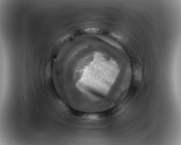 X0000086770665200704271751