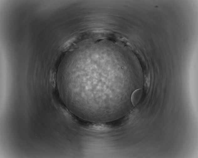 X0000086770666200704271751