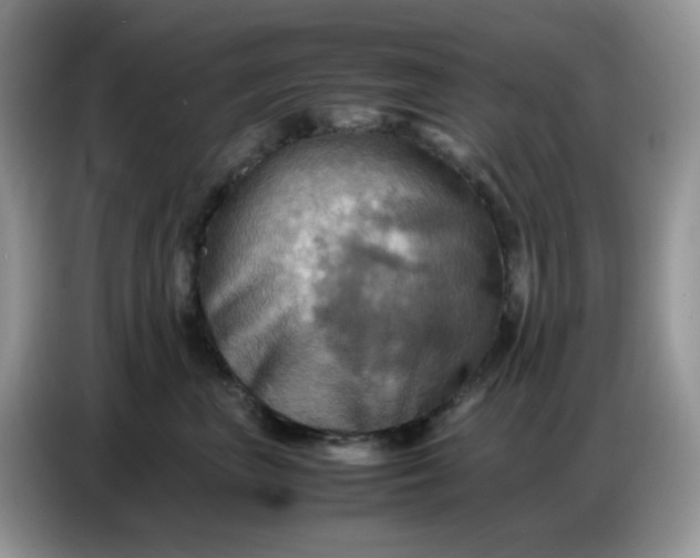 X0000086770667200704271751