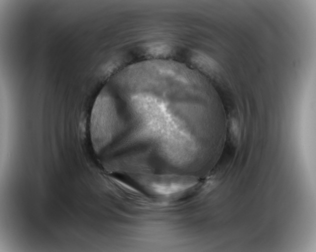 X0000086770668200704271751