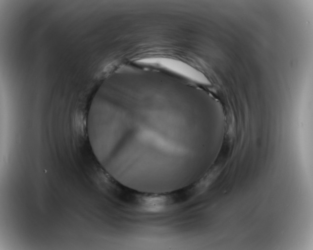X0000086770669200704271751