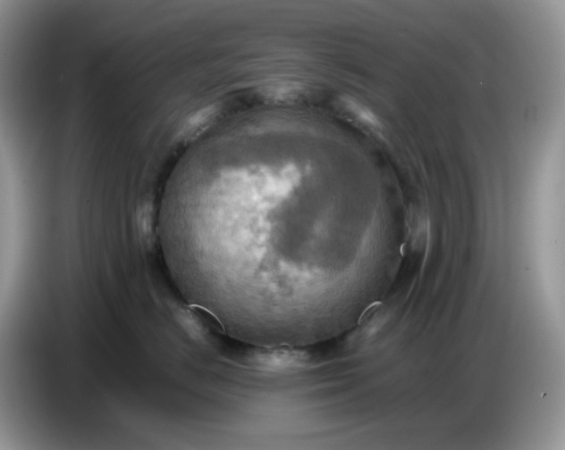 X0000086770670200704271751