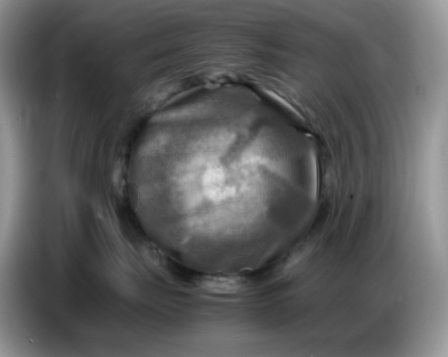 X0000086770671200704271751