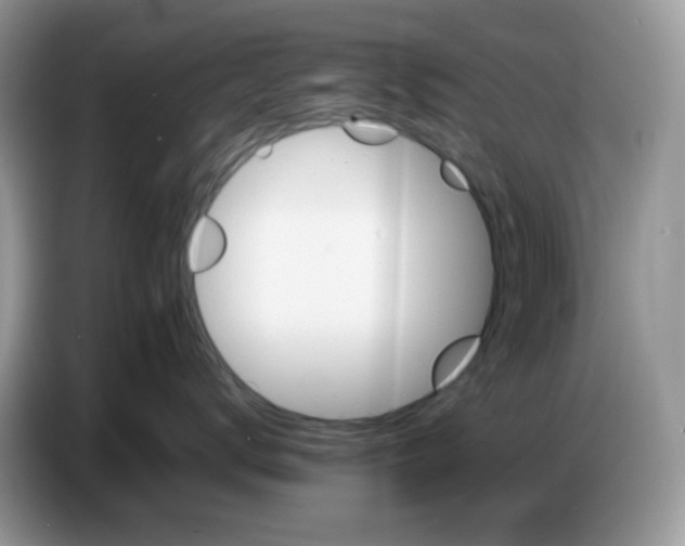 X0000086770672200704271751