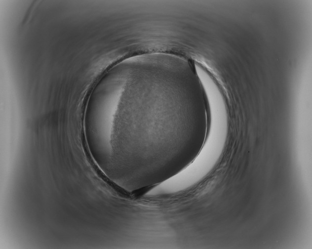 X0000086770673200704271750