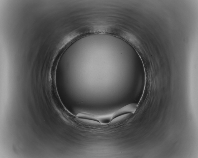 X0000086770674200704271750