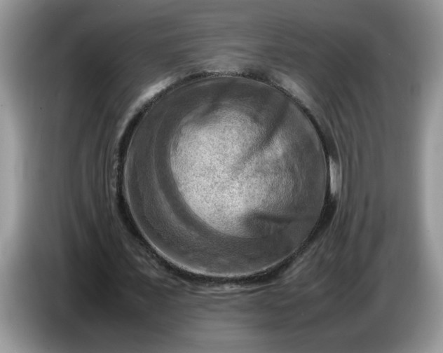 X0000086770675200704271750