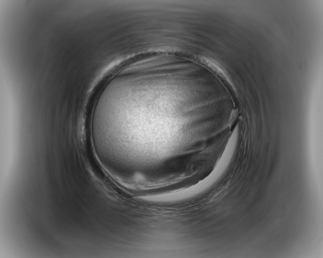 X0000086770676200704271750