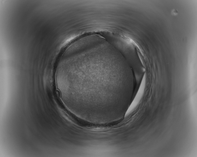 X0000086770677200704271750