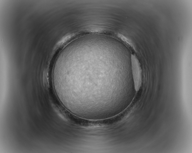X0000086770682200704271750