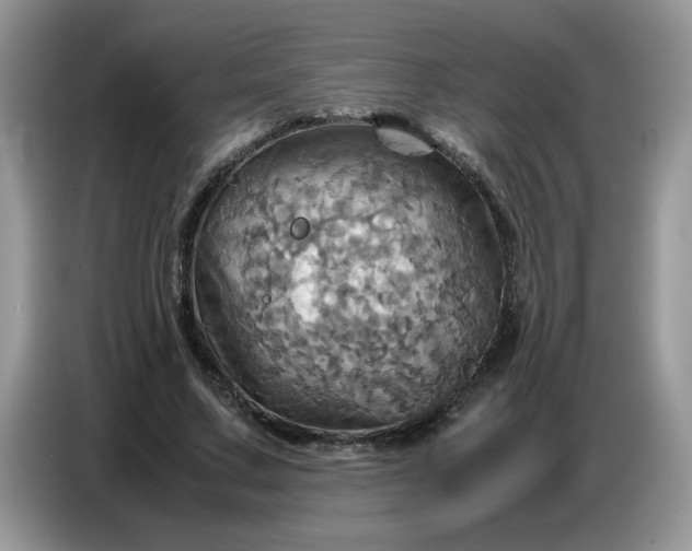 X0000086770683200704271750